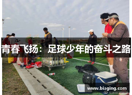 青春飞扬：足球少年的奋斗之路